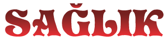 Sağlık Logo